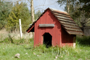 Snoopy
